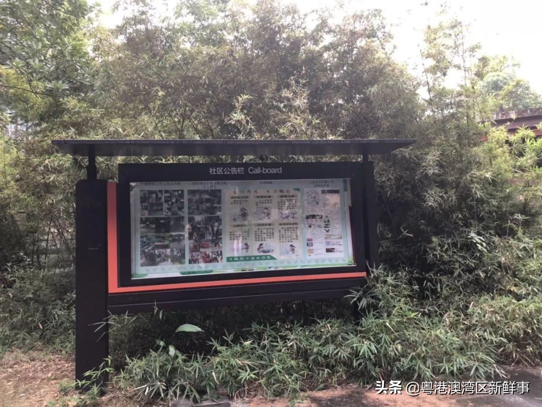 宀佹湀闈欏ソ澶氬Э澶氬僵,鑺辨牱骞村埆鏍峰煄娲嬫埧