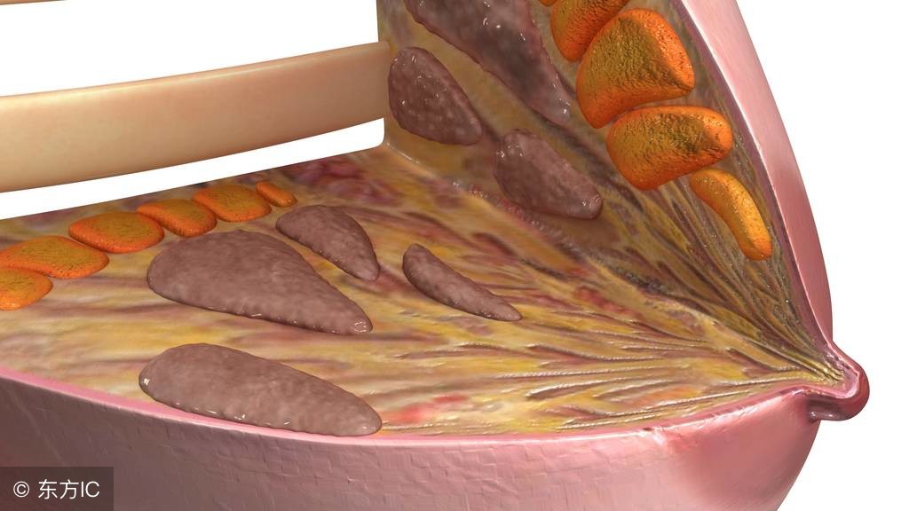 丰胸的十大谣言,丰胸最新骗局揭秘视频