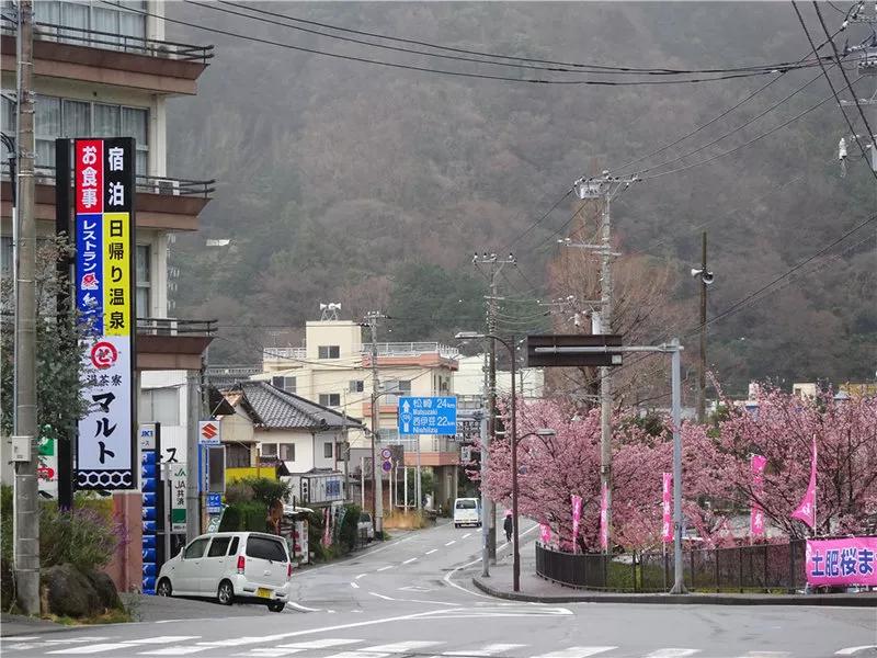 日本买口罩的经历,现在去日本买口罩靠谱吗