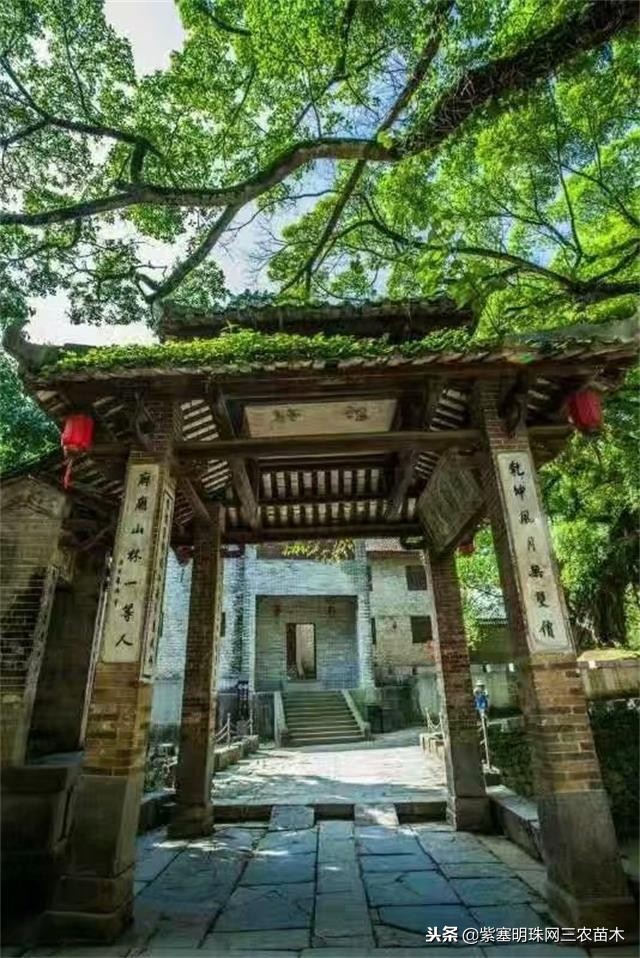 黄姚古镇大黄牛客栈团购优惠,贺州市昭平县黄姚古镇大黄牛客栈