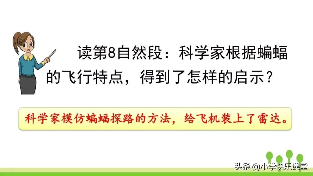 四年级上册语文蝙蝠和雷达课后题,部编版四年级上册语文蝙蝠和雷达