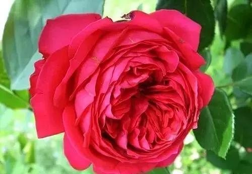 每天学习一点点女性小常识,每天学习一点点科普一下