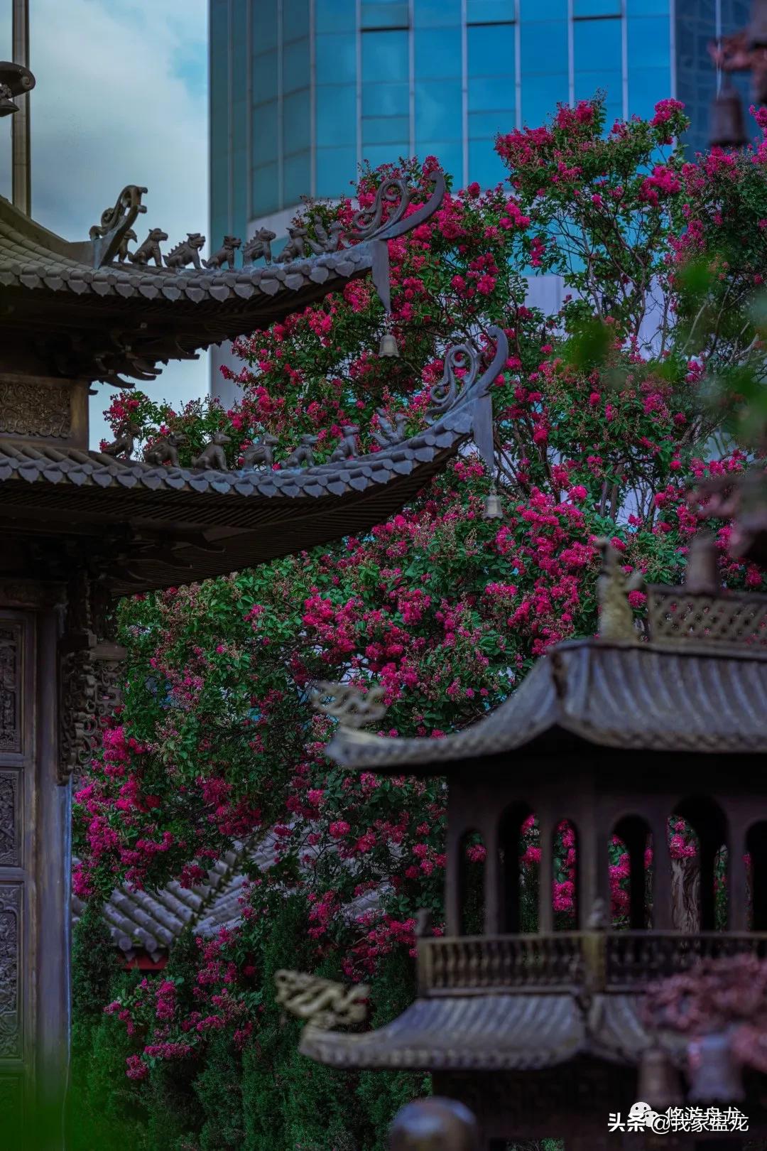 100张照片一百种幸福,100张图片带你去云南