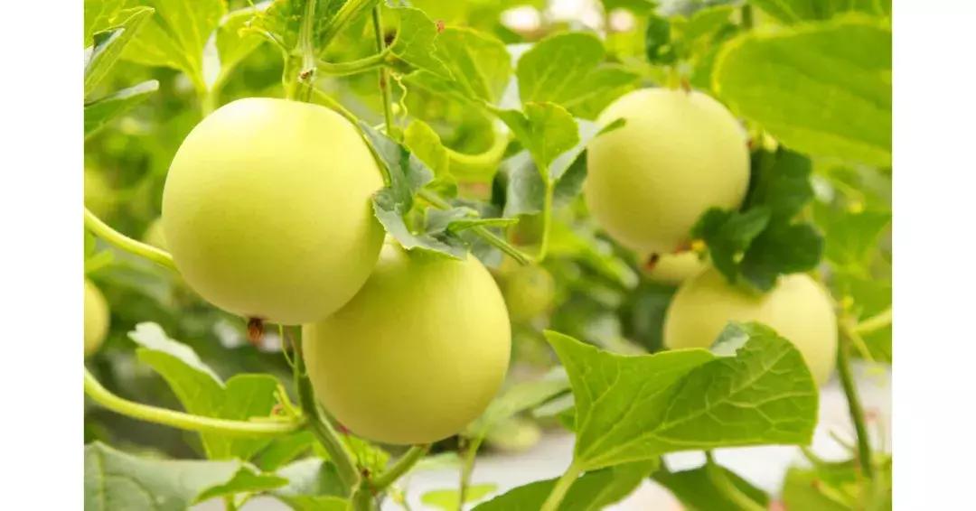 西安阎良区旅游全攻略,阎良航空城旅游线路攻略最新版