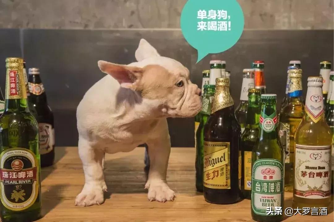 雁荡山啤酒颜色差别,雁荡山景区喝雁荡山啤酒图片