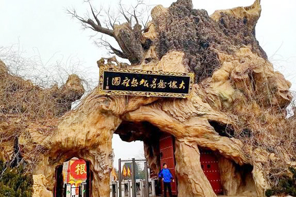 洪洞大槐树迁出的姓氏有田氏吗,洪洞大槐树迁出的姓氏有云南的吗