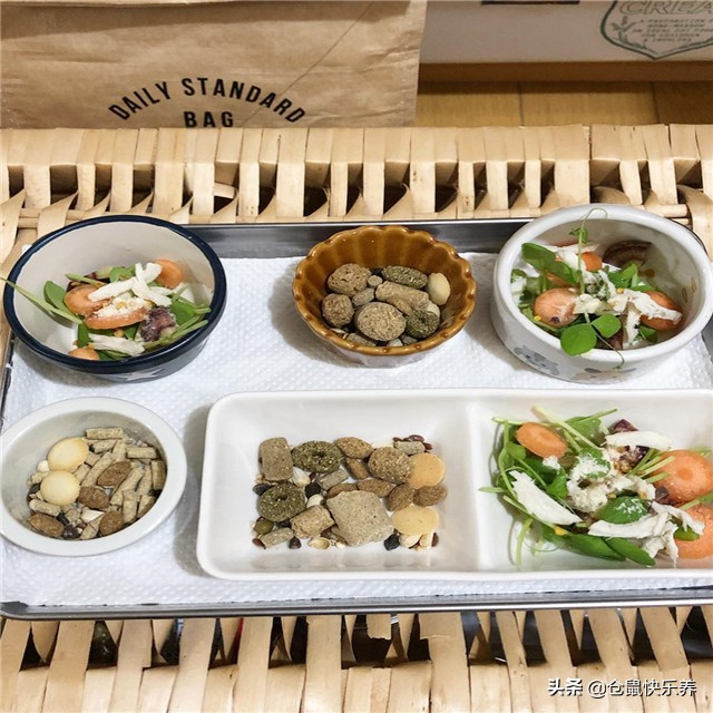 仓鼠吃饭但是不喝水怎么办,要是仓鼠不吃粮食也不吃饭怎么办