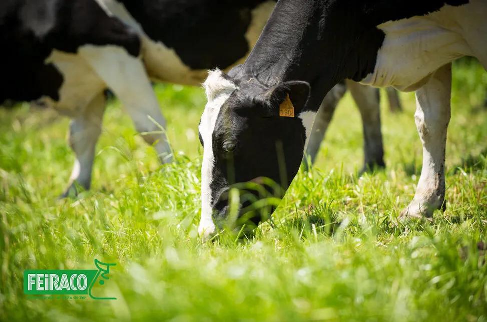 哪种进口纯牛奶比较好,进口纯牛奶营养排行榜