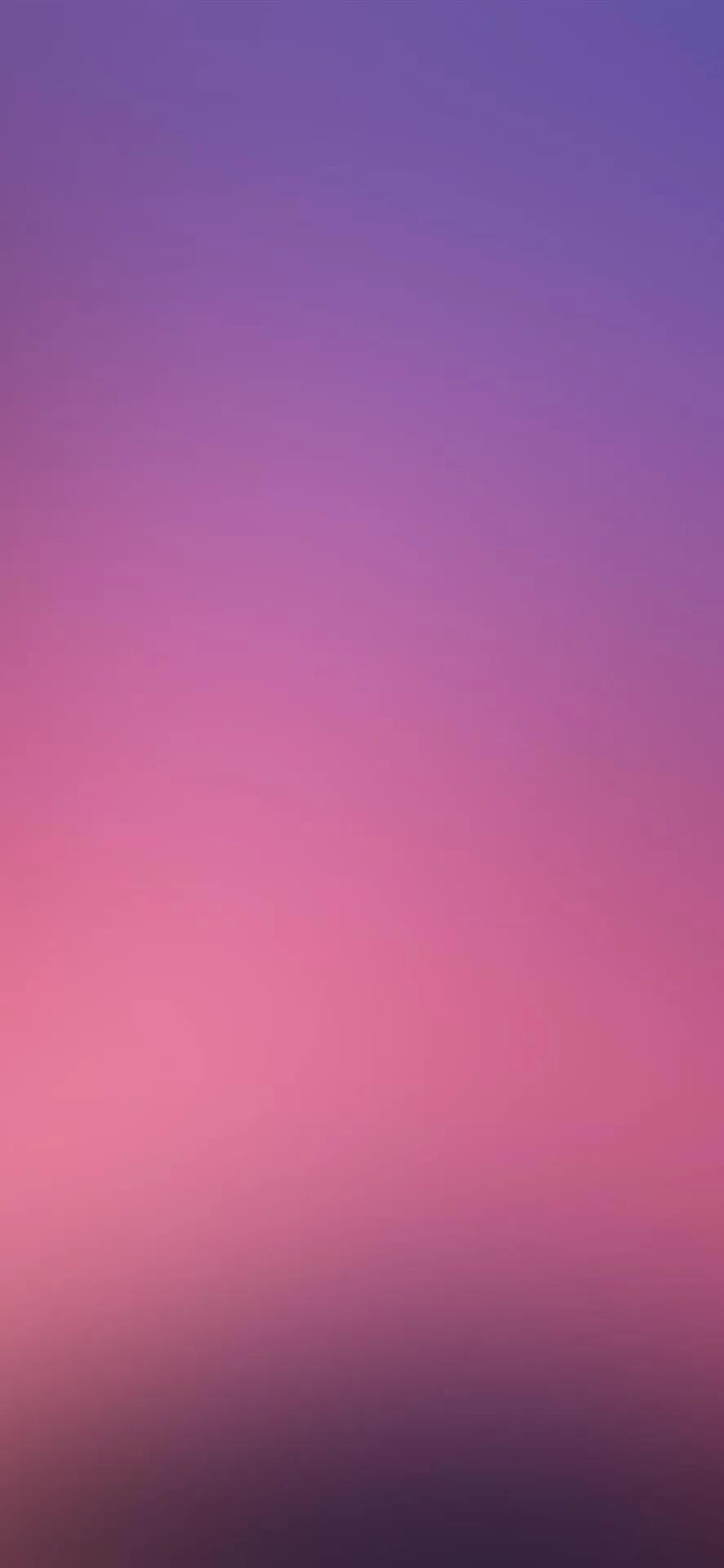 紫色壁纸星空壁纸,紫色菊花风景美图壁纸