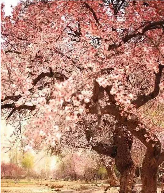 中国地大物博，知道东、南、西、北极在哪里吗？