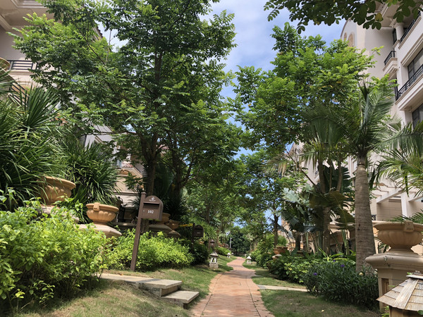 幸亏我来了再不来素材就没了,海南月亮湾的夜晚