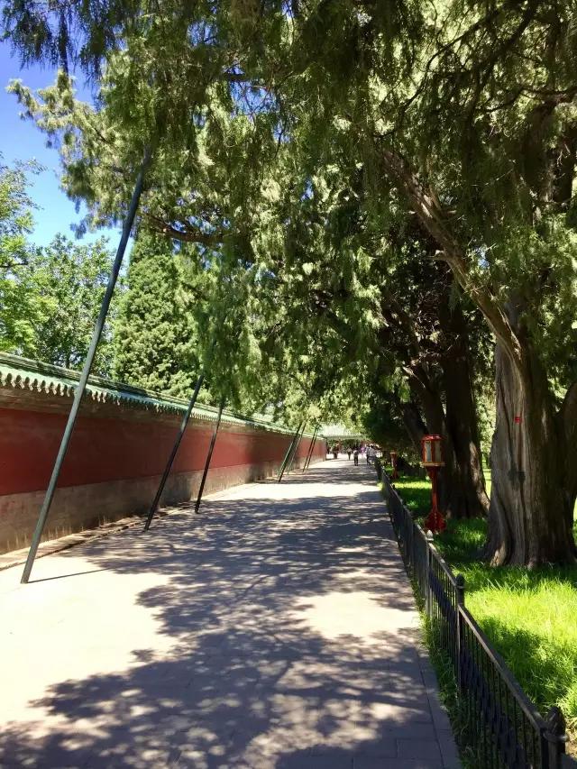 北京天坛的十二大秘密