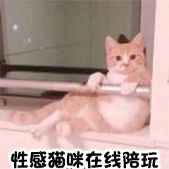 找不到资源发愁怎么找,发愁找不到资源