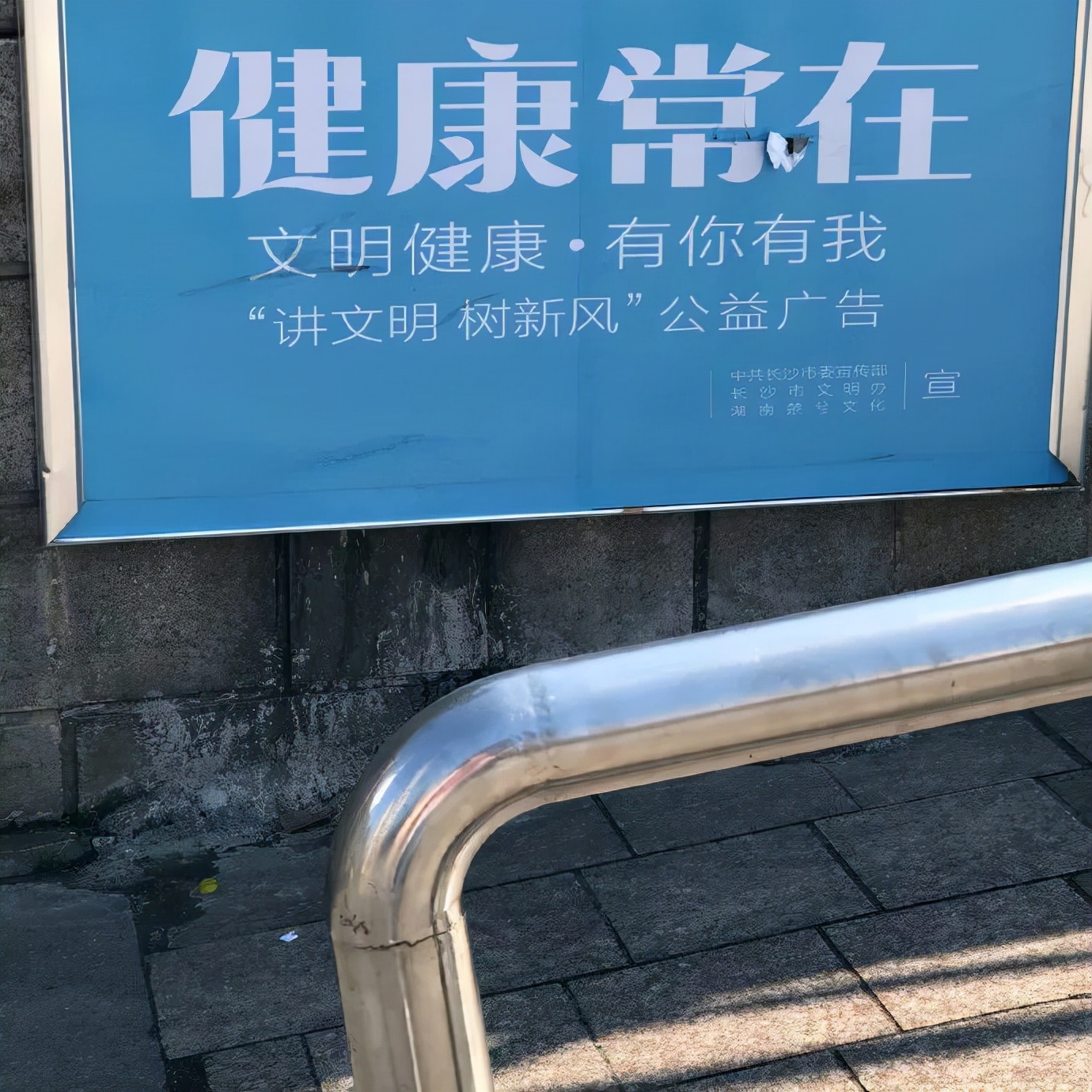 看到铲屎官终于回家，立即安心地睡着了|冷段子1986