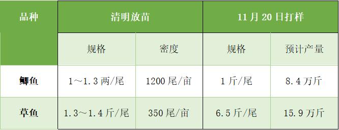 不管你信不信反正我是信了gif,不管你信不信反正我是信了视频