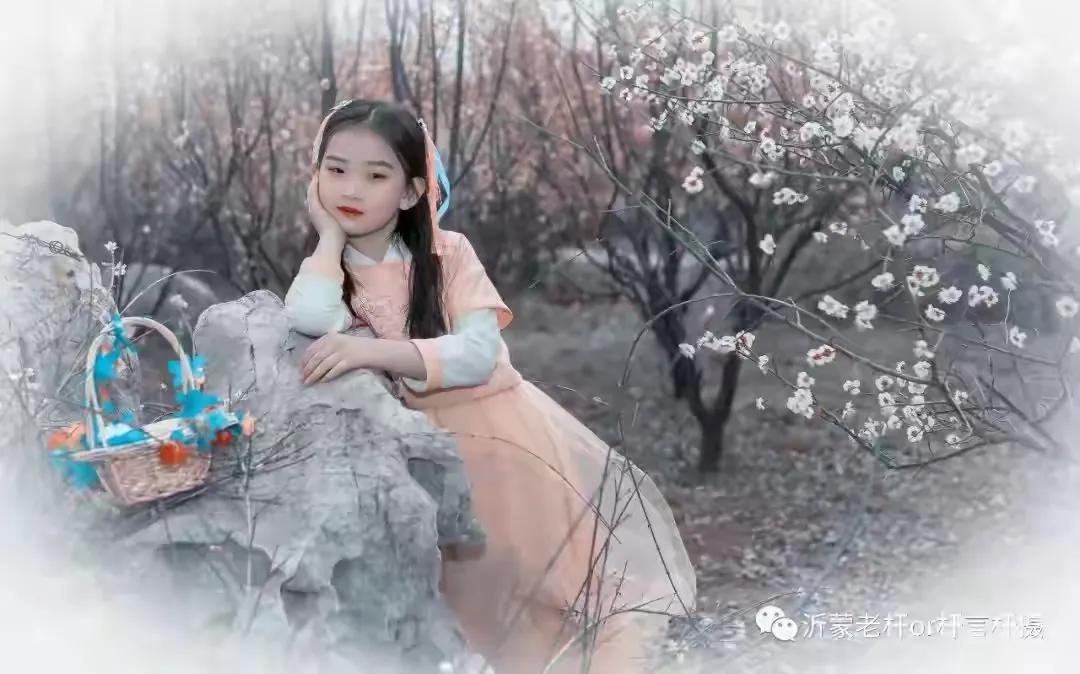 梅花小仙子,梅花命运