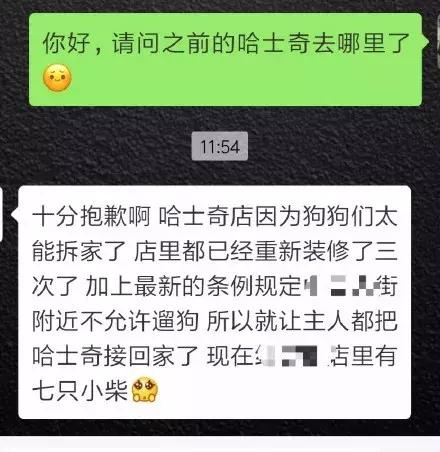 哈士奇把主人的家拆了,被哈士奇拆的家