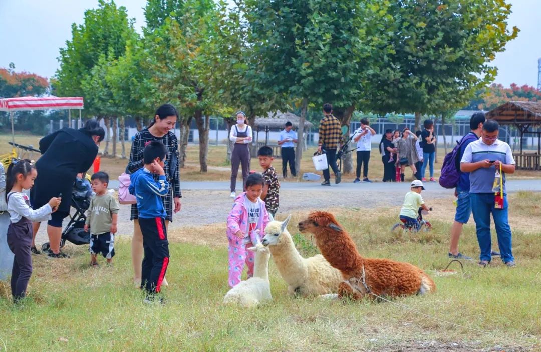 祥和庄园一日游,享受美食和田园风光的完美之旅
