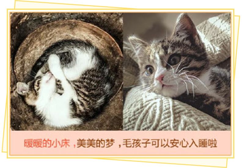 用闲鱼的人都很low？Naive