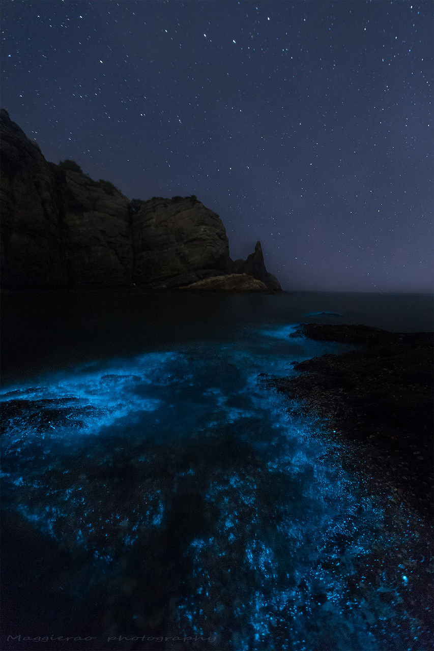 海滩再现绝美荧光海宛如蓝色星河,成都荧光海滩