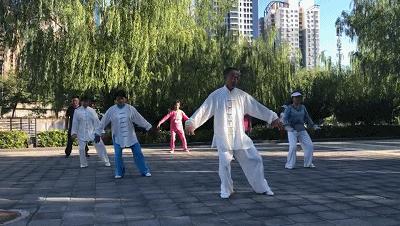 庆丰公园里,原来藏着一个“武林江湖”