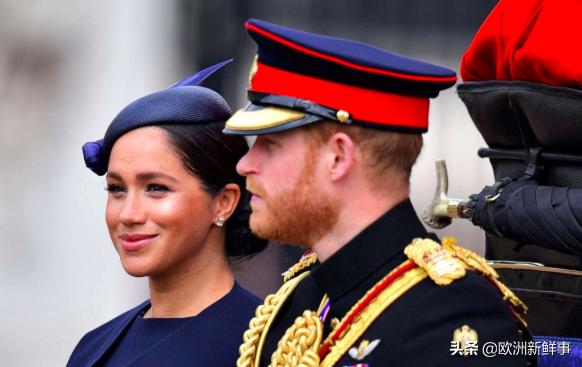 老婆孩子都不顾了?哈里难忘戴安娜王妃,执意重返非洲做慈善