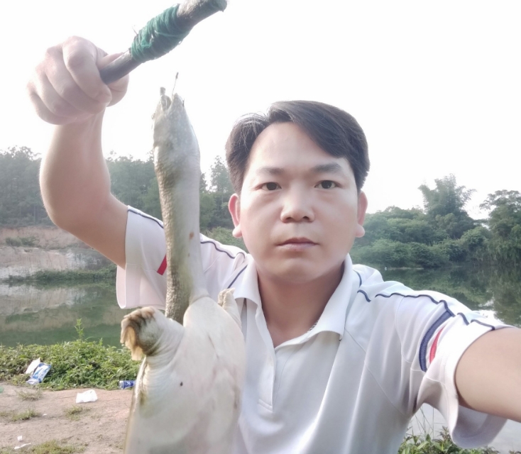 甲鱼针钓甲鱼的技巧,钓甲鱼线组搭配和技巧