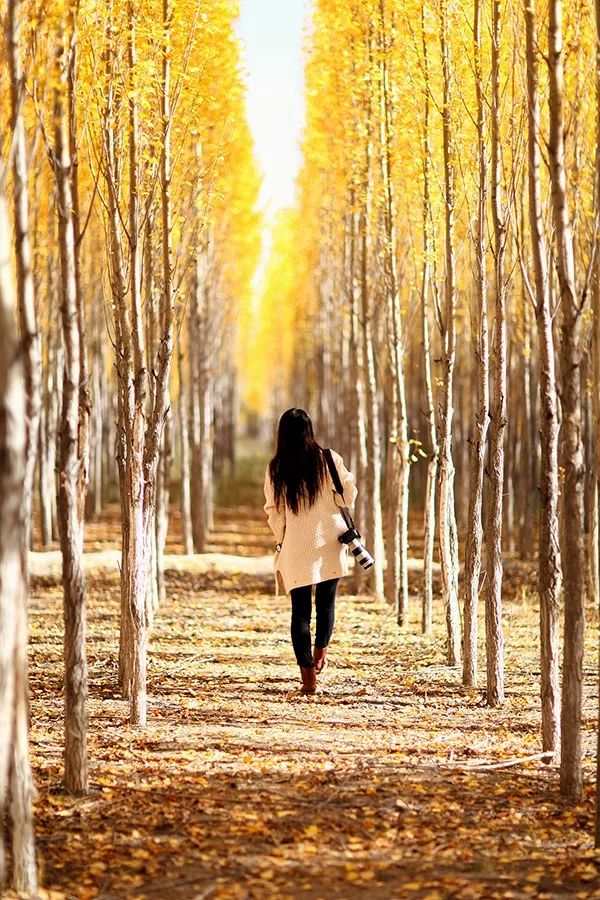 去过18次*疆新**的江南女子，用亲身经历告诉你，*疆新**究竟有多美