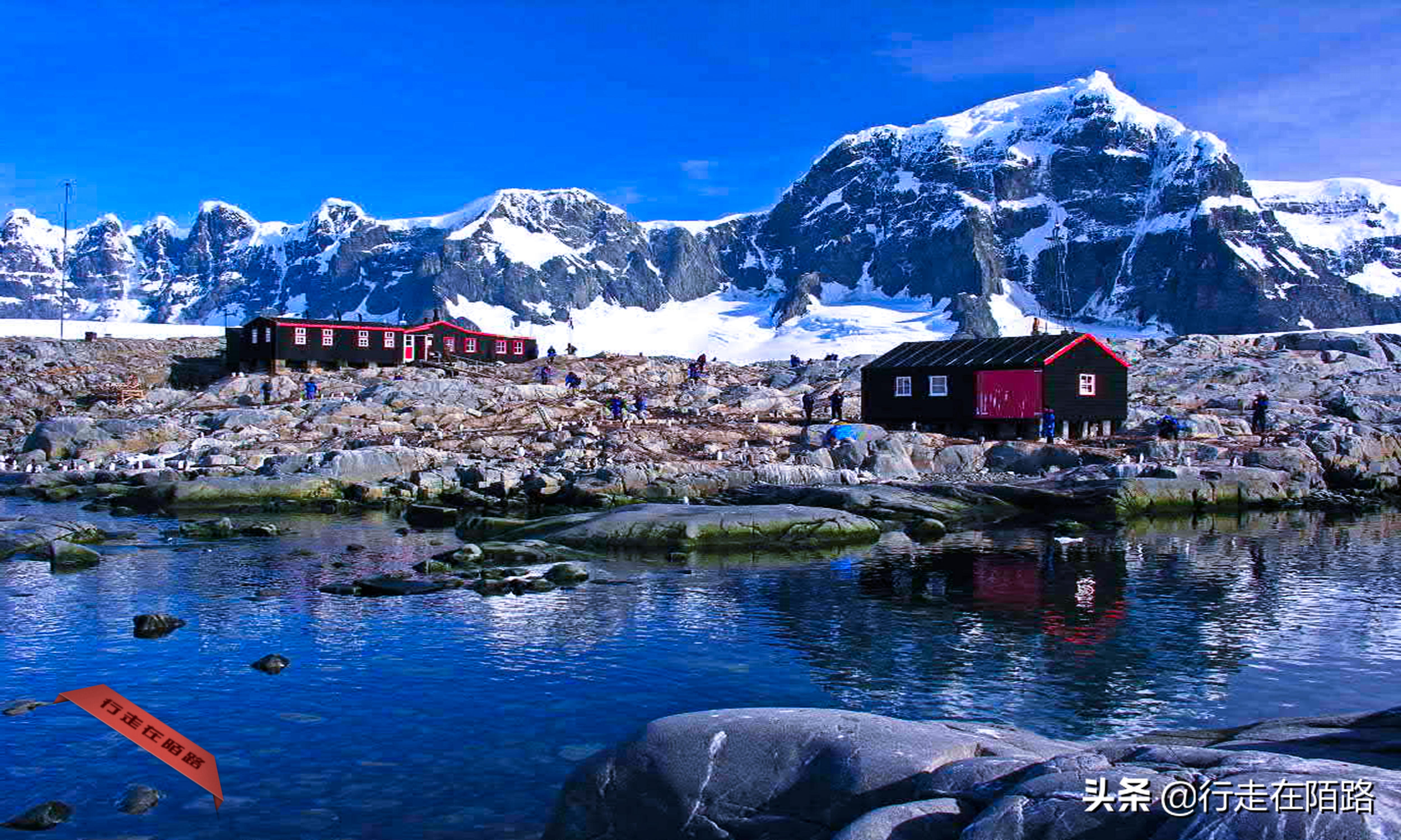 铲屎官招聘,邮局招聘吗