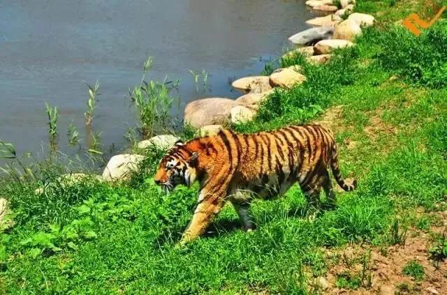 上海地铁沿线景点全部免费,上海地铁11号线上海赛车场