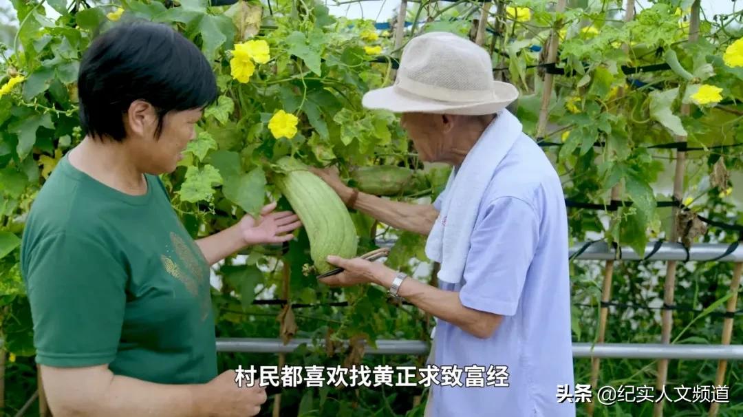 “我们的发展始终伴随着泥土的芬芳”纪录片《惠泽桑田》回顾上海农信事业发展历程