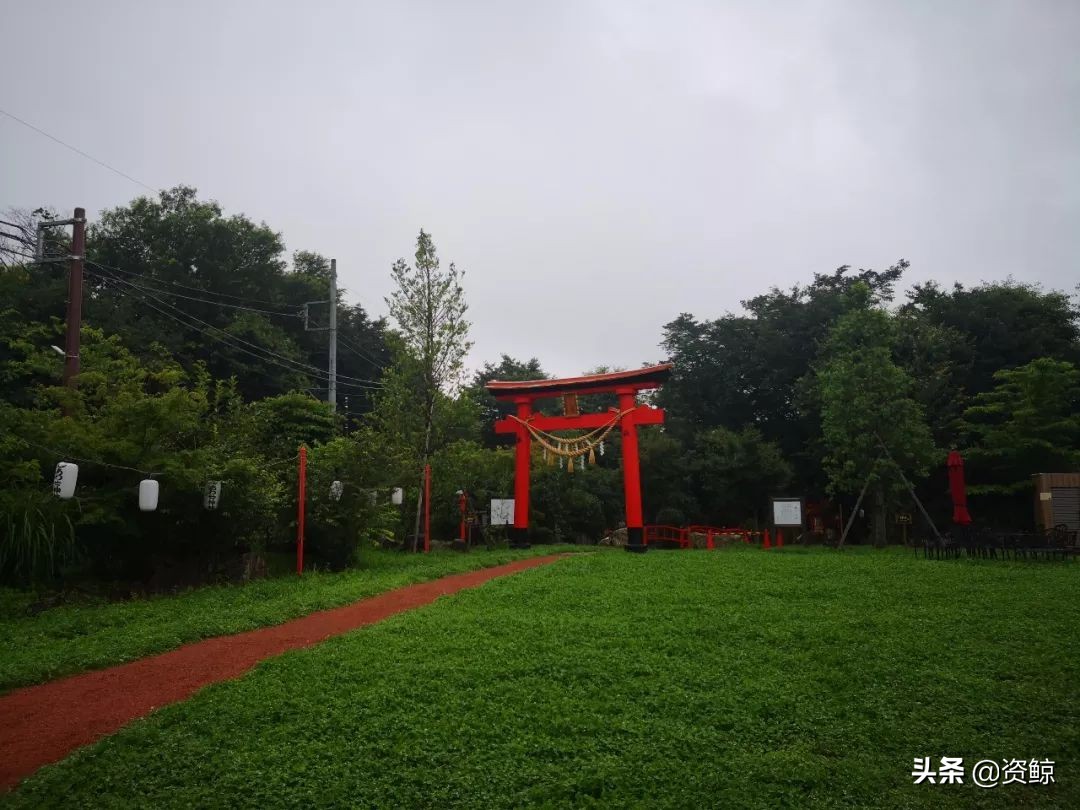 日本的小微企业有哪些,日本小微企业