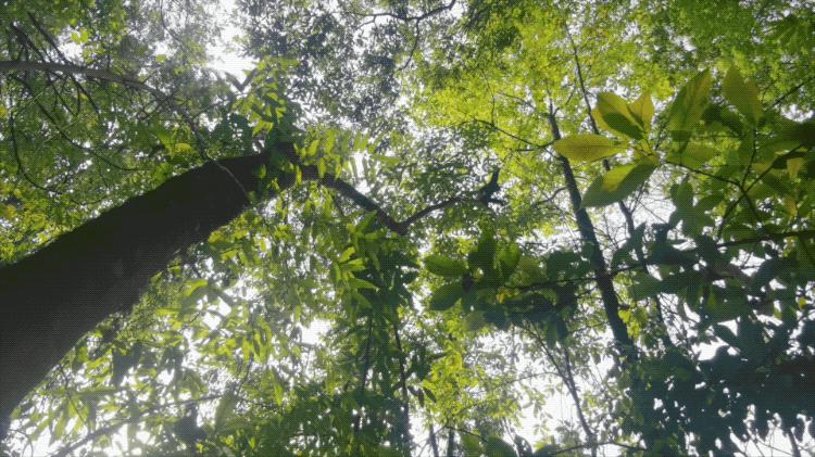 一群90后学霸，嚷嚷着要给它们找对象：自己单身不要紧