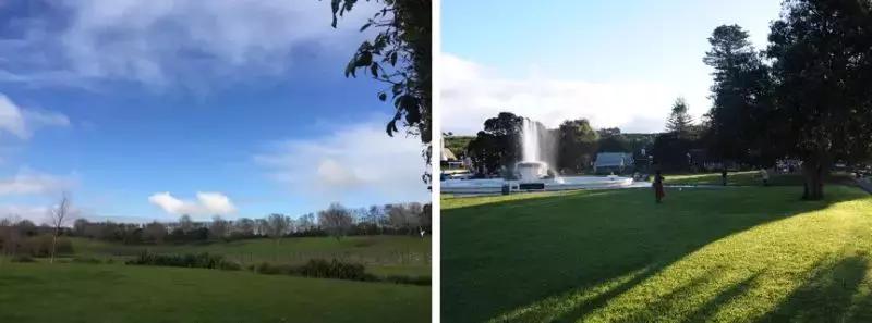 爱羽乐奶粉是什么品牌 (爱羽乐奶粉怎么样)