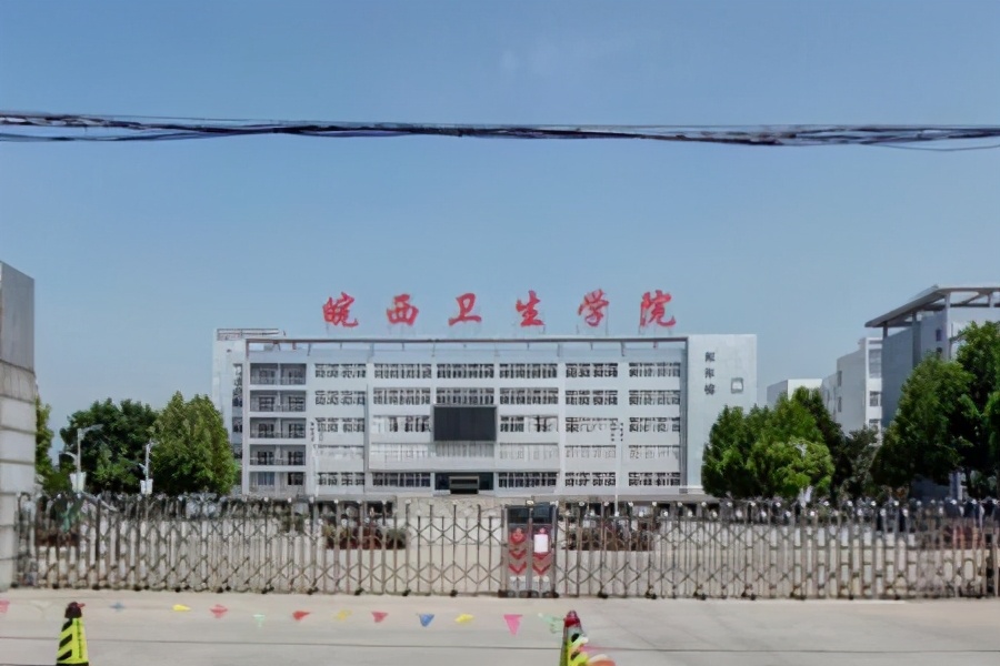 六安市定向选调高校名单,六安金安区高校