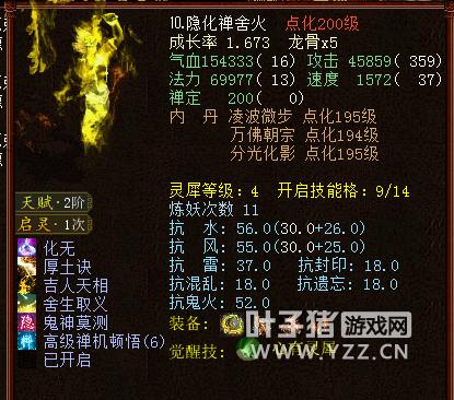 大话西游2新区克金队,大话西游2大力投资