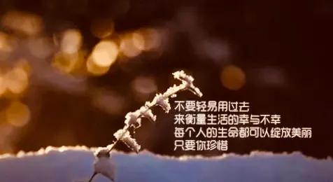 上错车不要因为投过币就不肯下车,上错了车千万别投了币而不愿下车