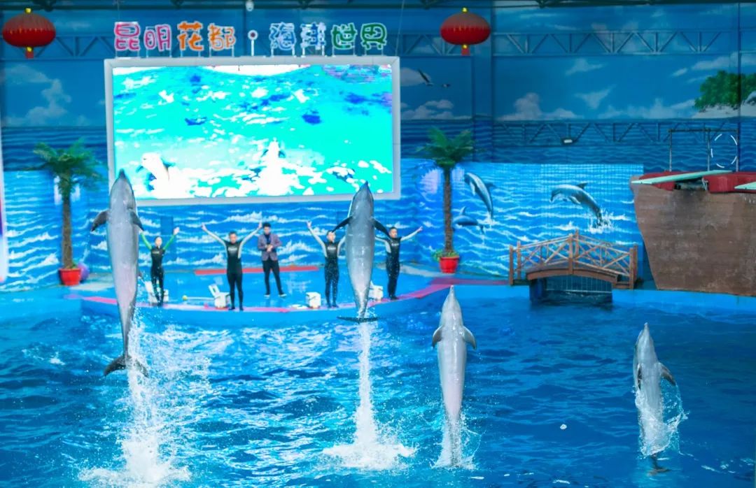 鏄嗘槑钀屽疇鍔ㄧ墿涓婚涔愬洯,鏄嗘槑瀹ゅ唴钀屽疇涔愬洯