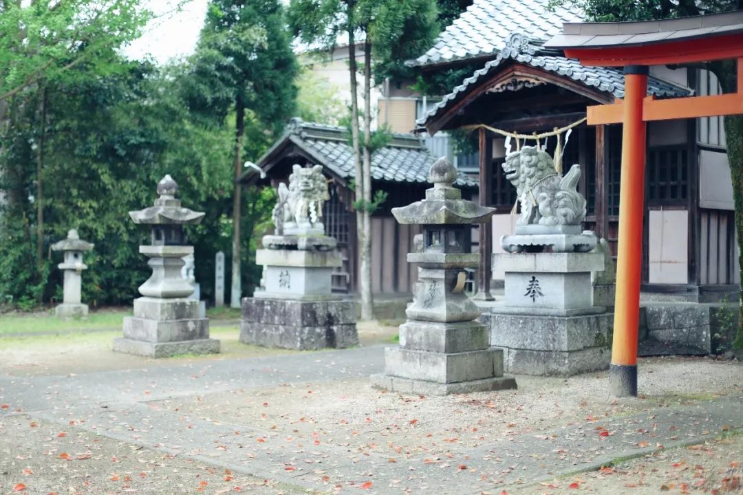 带着父母坐游轮到日本旅游,搭上邮轮去带着全家去旅行