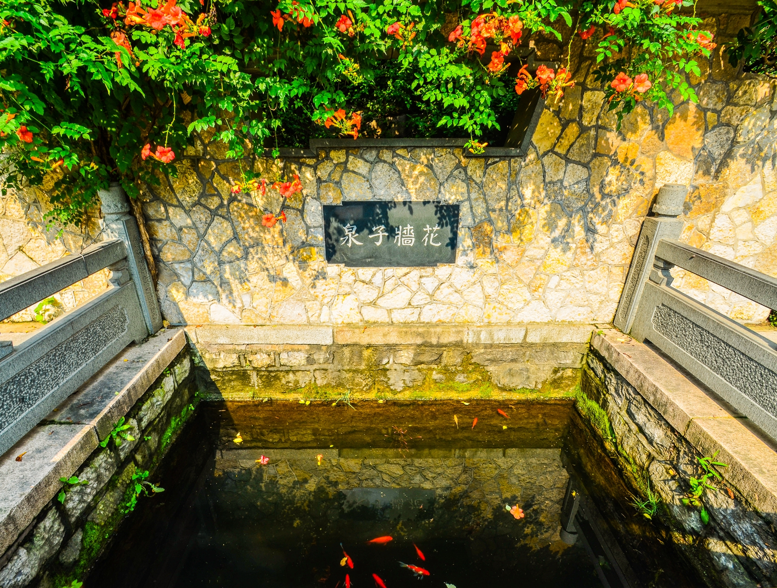 趵突泉诗赵孟頫创作背景,赵孟頫的趵突泉诗