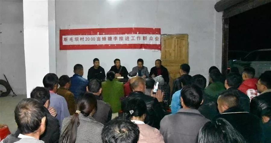 干部下沉,干部下沉一线