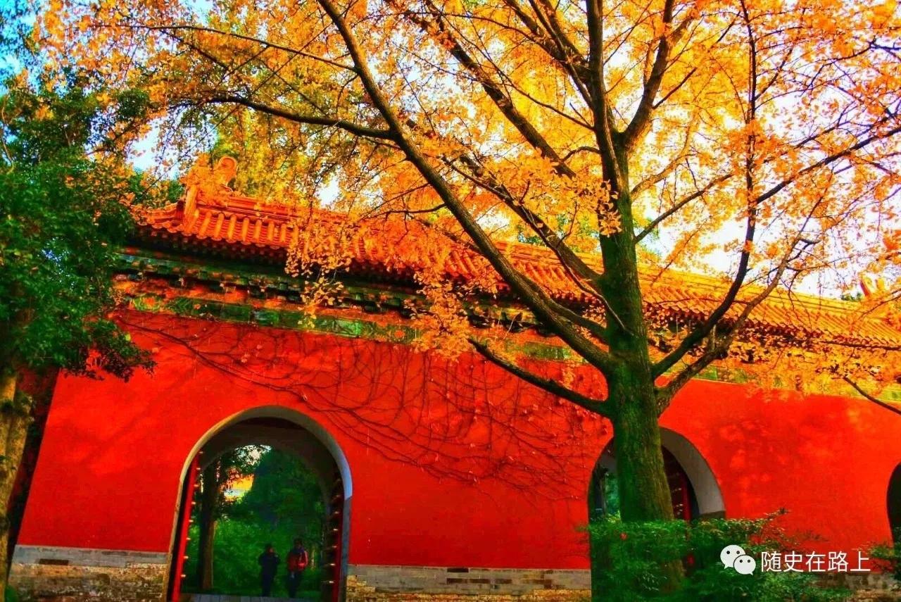 我有一个心愿叫金陵