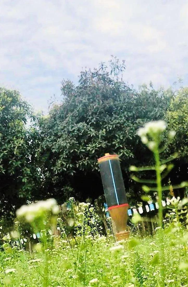 春暖花开来农村踏青,春暖花开亲近大自然来一场野炊