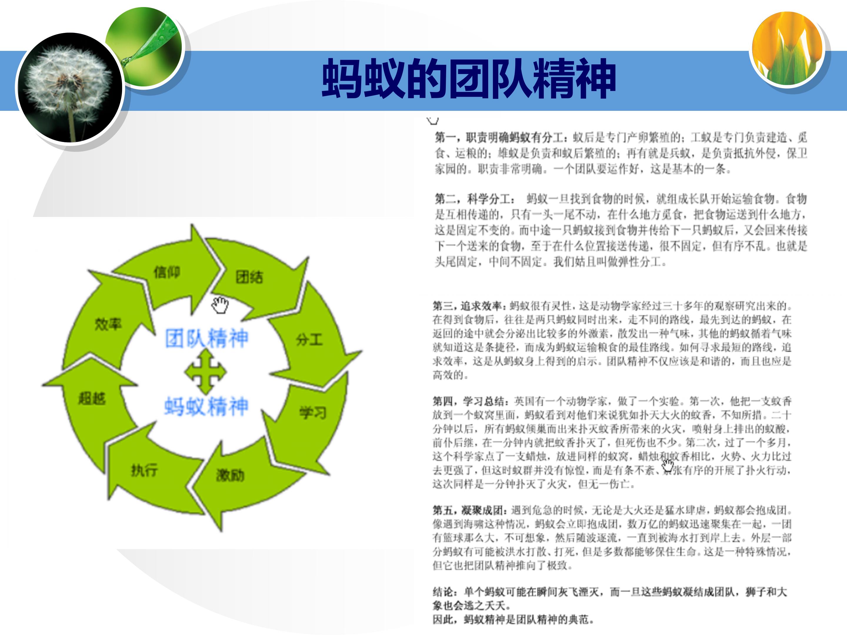 个人与团队管理打造高绩效团队,团队建设建议及个人成长