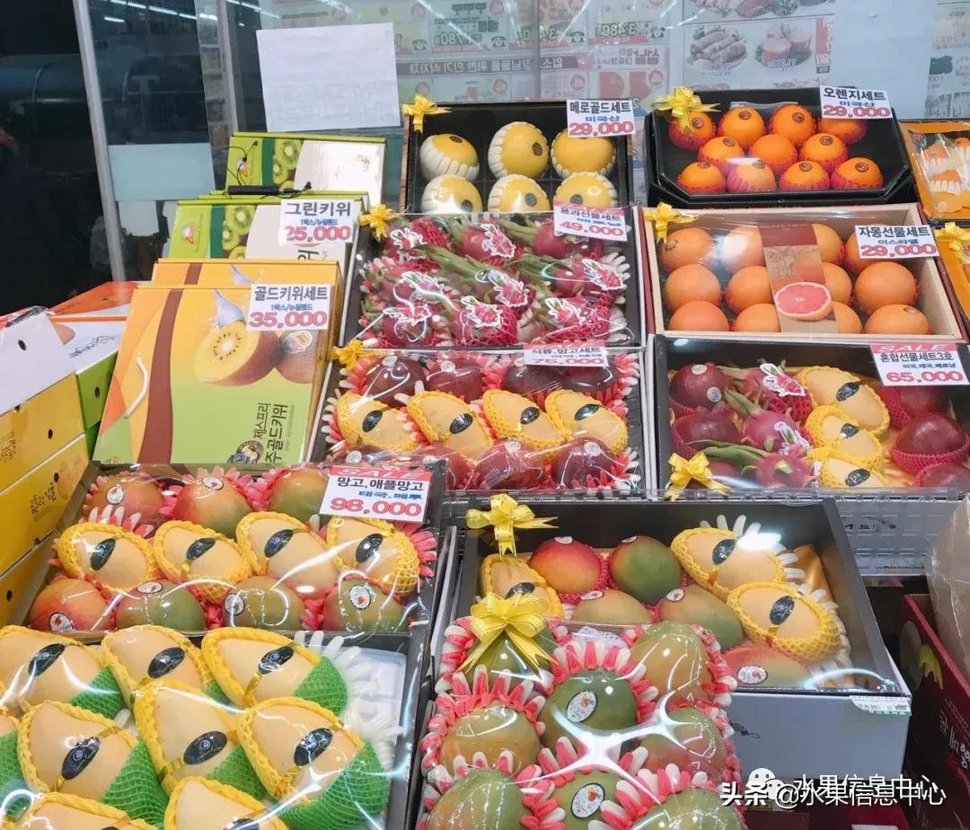 韩国水果批发市场进货渠道,韩国首尔最大的水果批发市场