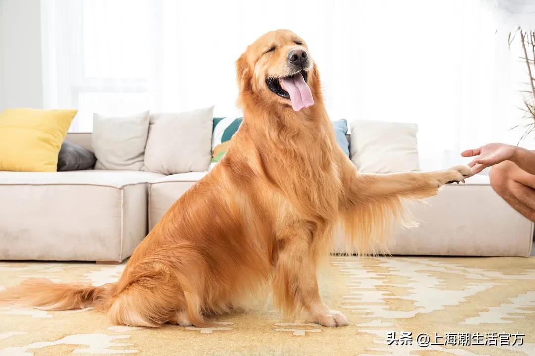 朋友圈的伪精致正在毁了你,朋友圈个个都精致