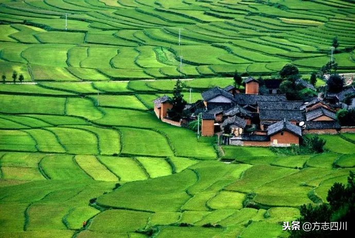 1999年改革开放大事记是什么,1988年四川改革开放大事记