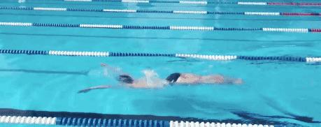 波蛙收腿,波蛙要收大腿吗