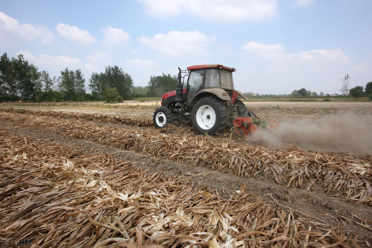 城管处置春耕焚烧秸秆,春耕焚烧秸秆的利弊