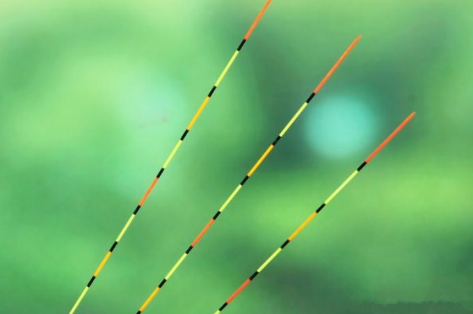 鲢鳙最开始怎么钓的,鲢鳙刚开始怎么钓